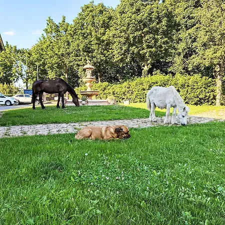 30 Km Vor Berlin Bis 6 Personen By Interhome Holiday home